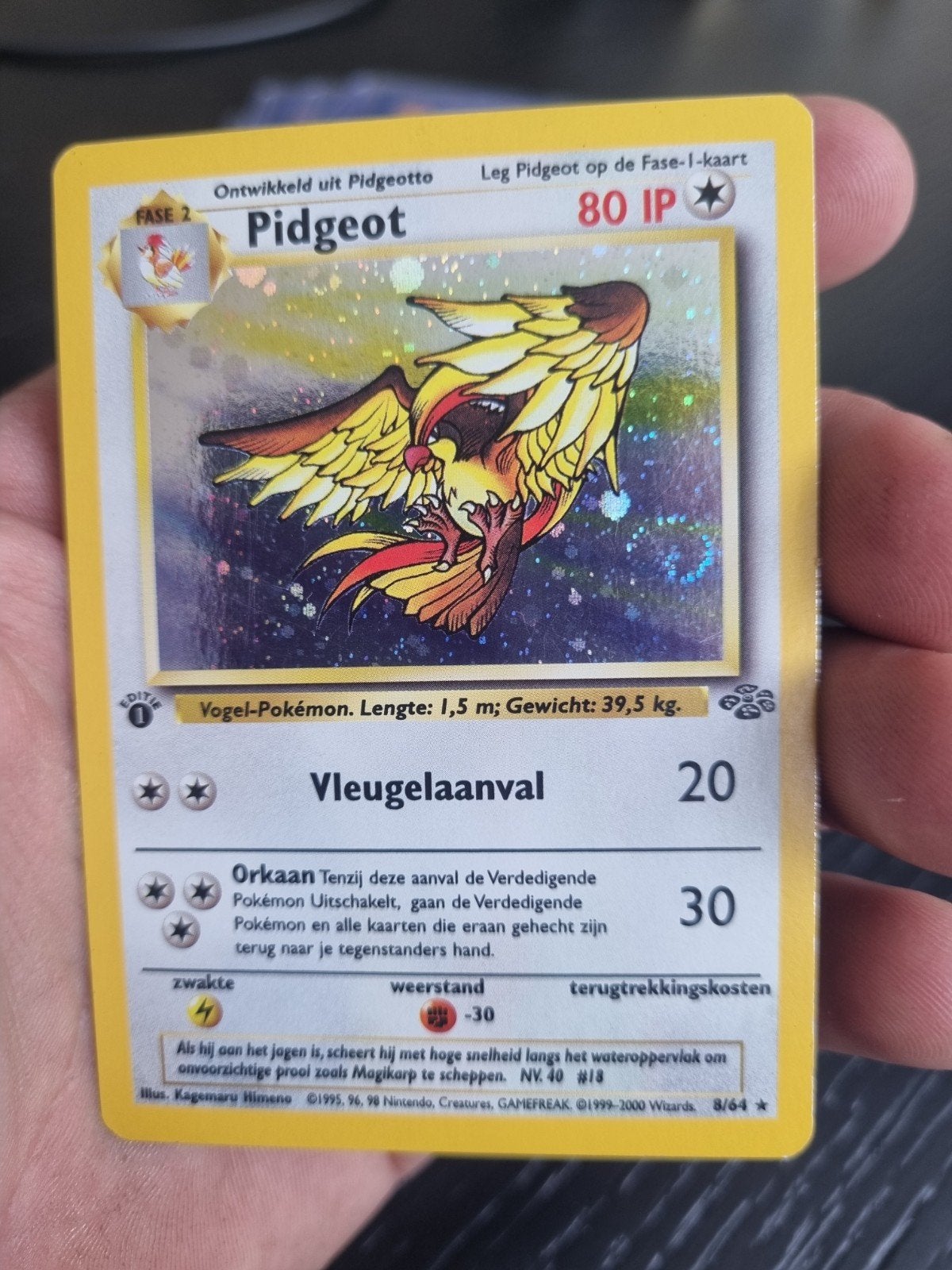 Pidgeot 8/64 jungle NL 1e editie , holo rare * € 50, Ophalen of Verzenden, Zo goed als nieuw, Losse kaart, Foil