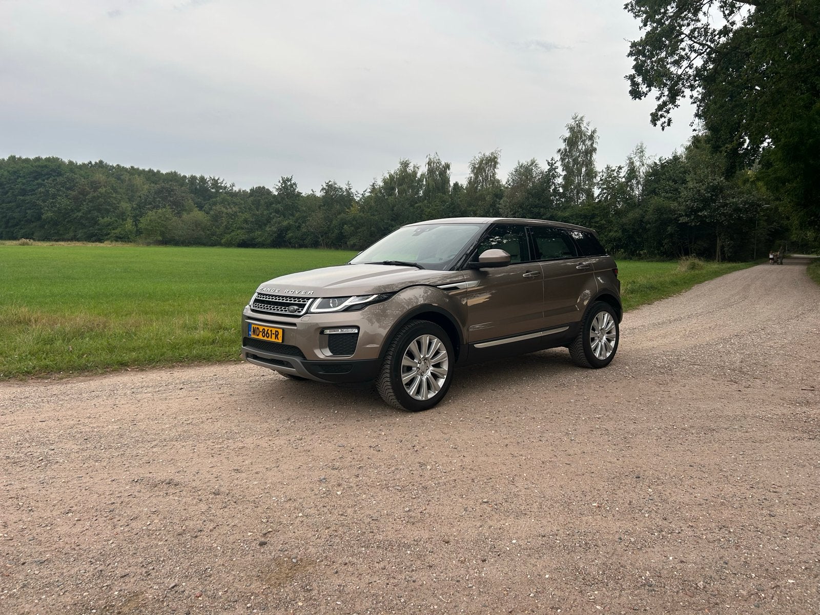 Land Rover Range Rover Evoque 2.0 SI4 4WD AUT 2017, Auto's, 1800 kg, 4 cilinders, Beige, Origineel Nederlands