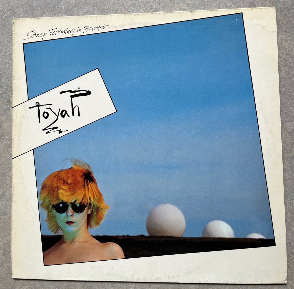 Toyah - Sheep Farming in Barnet (LP Punk rock/New Wave), LP, Gebruikt, Originele persing, Ophalen of Verzenden