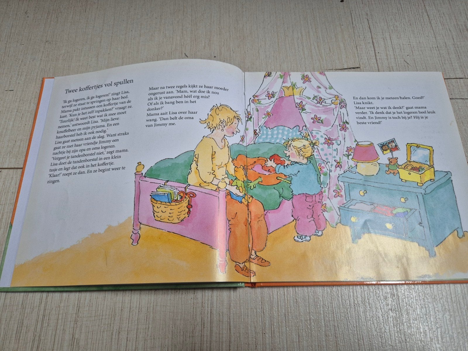 Logeren is een feest! Vivian den Hollander., Boeken, Ophalen, Zo goed als nieuw, Vivian den Hollander, Jongen of Meisje