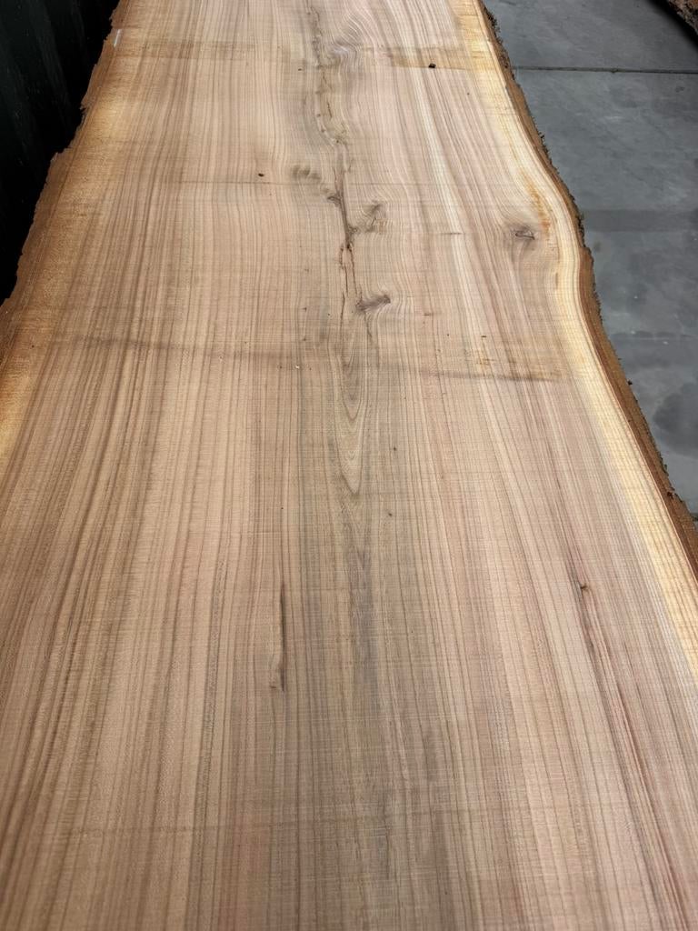 Mega grote boomstambladen eiken 520x105x8 cm, Tuin en Terras, Palen, Balken en Planken, Ophalen, 250 cm of meer, Planken