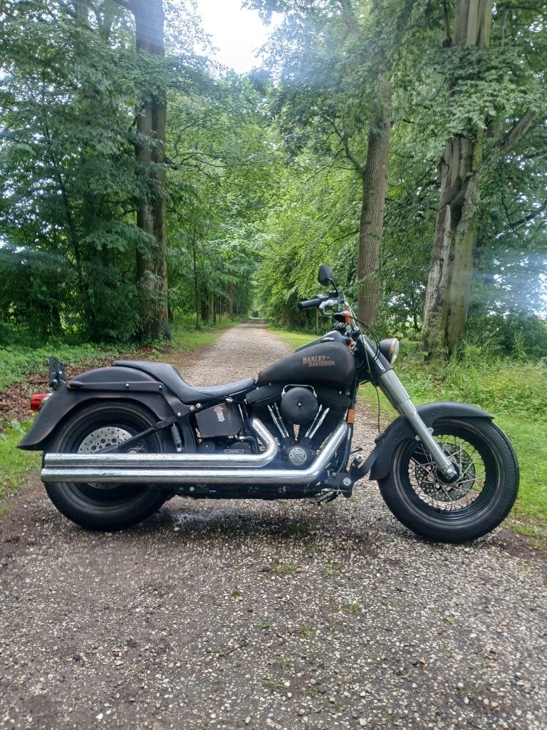 Harley-Davidson Patina Softail, Niet ingevuld, 2 cilinders, Occasion, 1340 cc