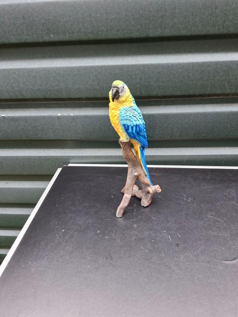 Papegaai op Stam, Ophalen