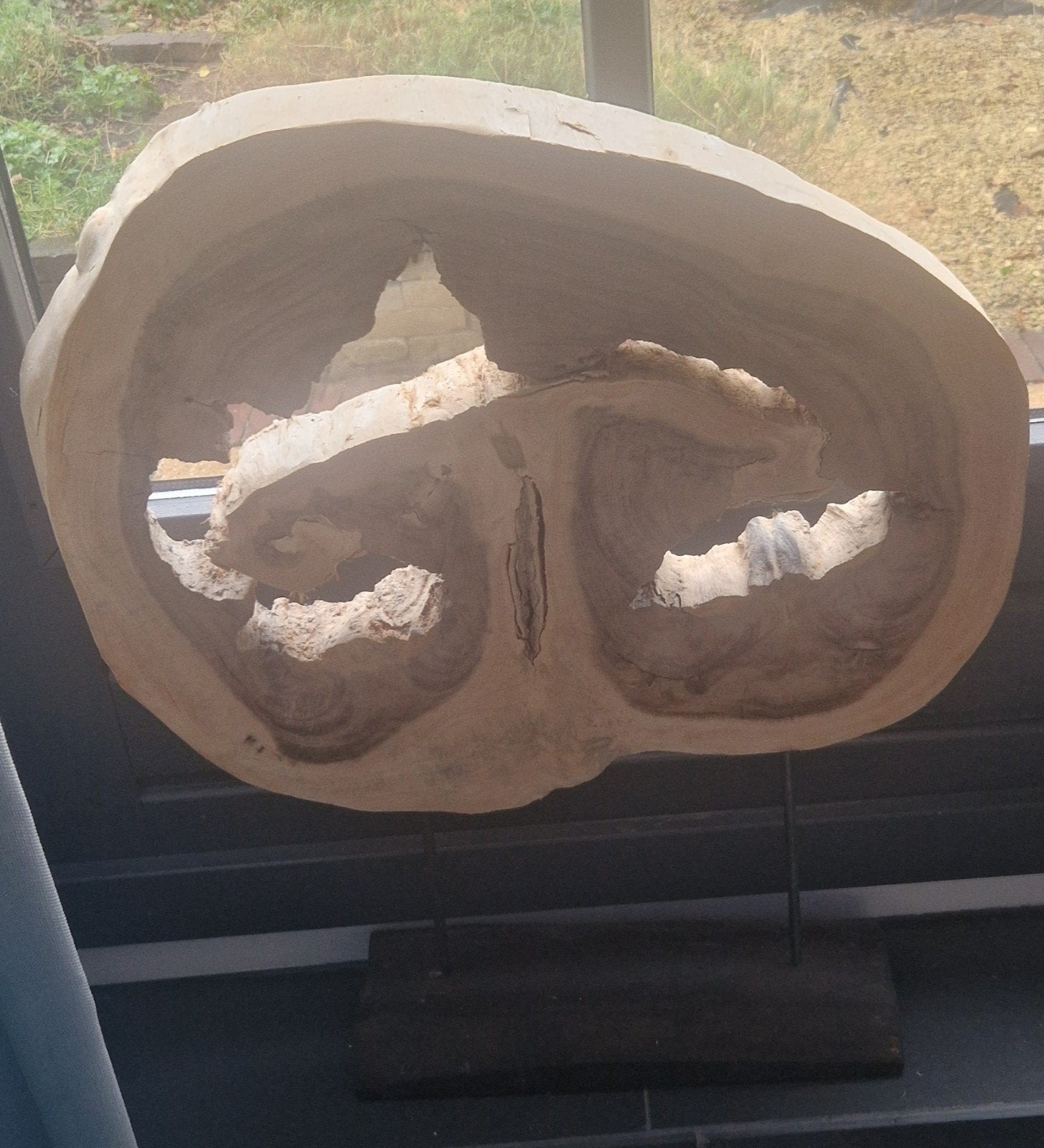 ornament: Suar Hout Schijf op Zwarte Houten Voet - 60x71cm, Huis en Inrichting, Ophalen, Nieuw, Bruin, Hout