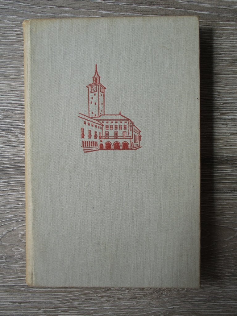 Twente - J. van Dijk, Ophalen of Verzenden, Gelezen