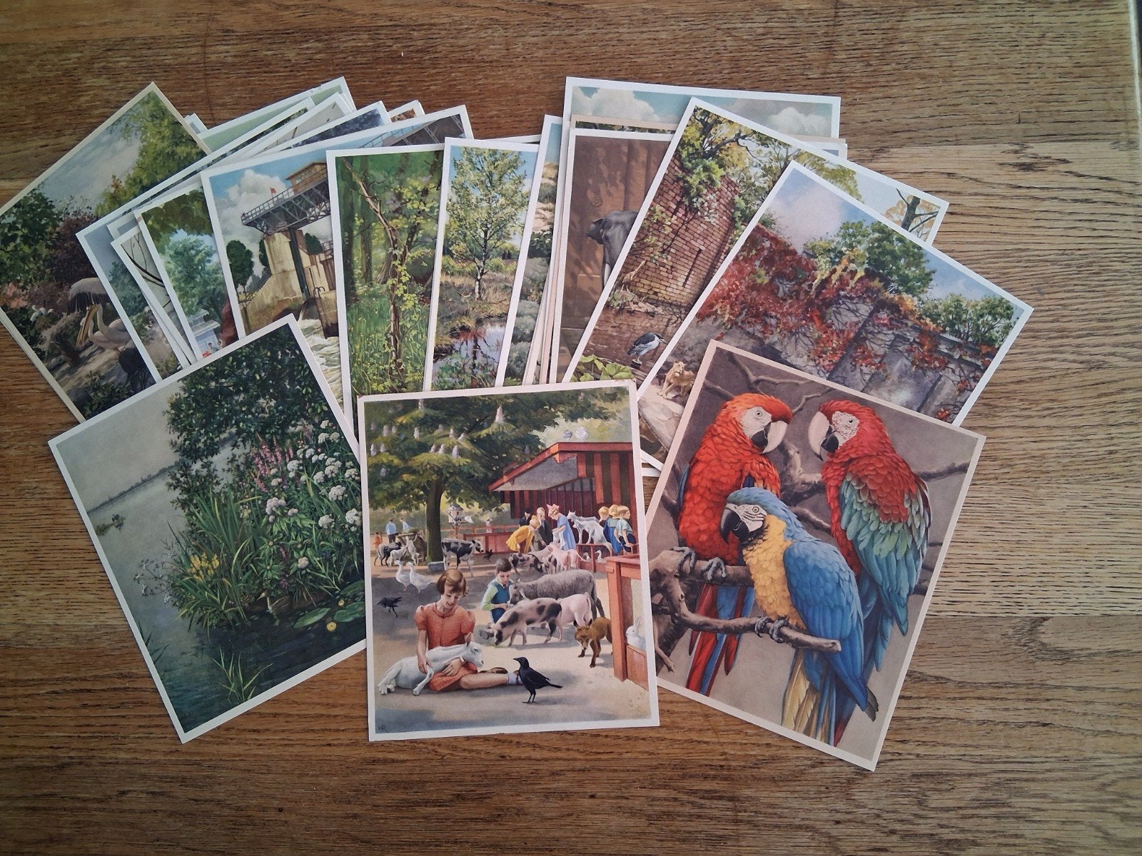 Verkade plaatjes  18 x 21, Ophalen of Verzenden, Voor 1940, Gebruikt, Overige onderwerpen