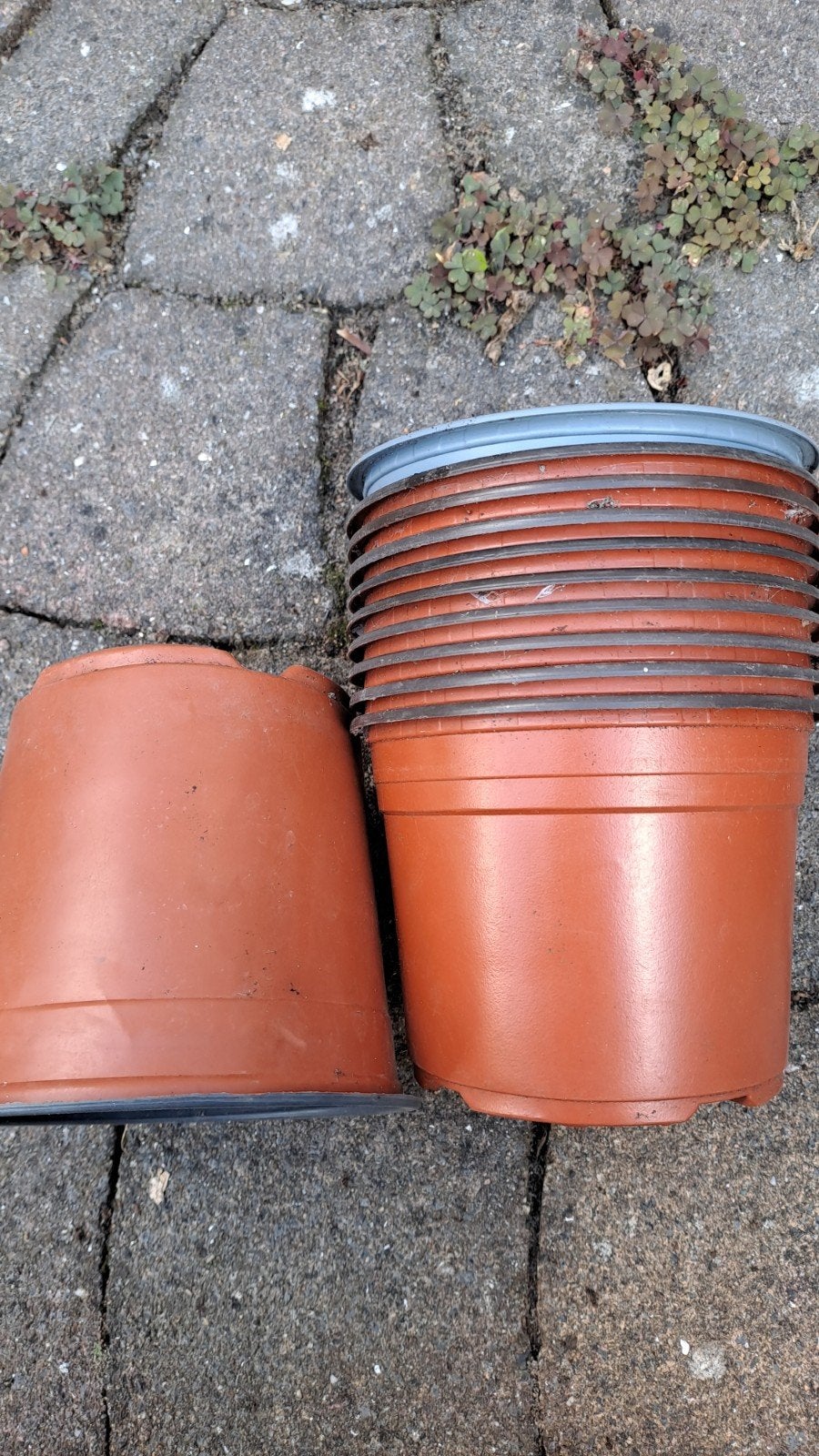 Gebruikte kweekpotten, diverse maten, Tuin en Terras, Ophalen, Kunststof, Gebruikt, Rond