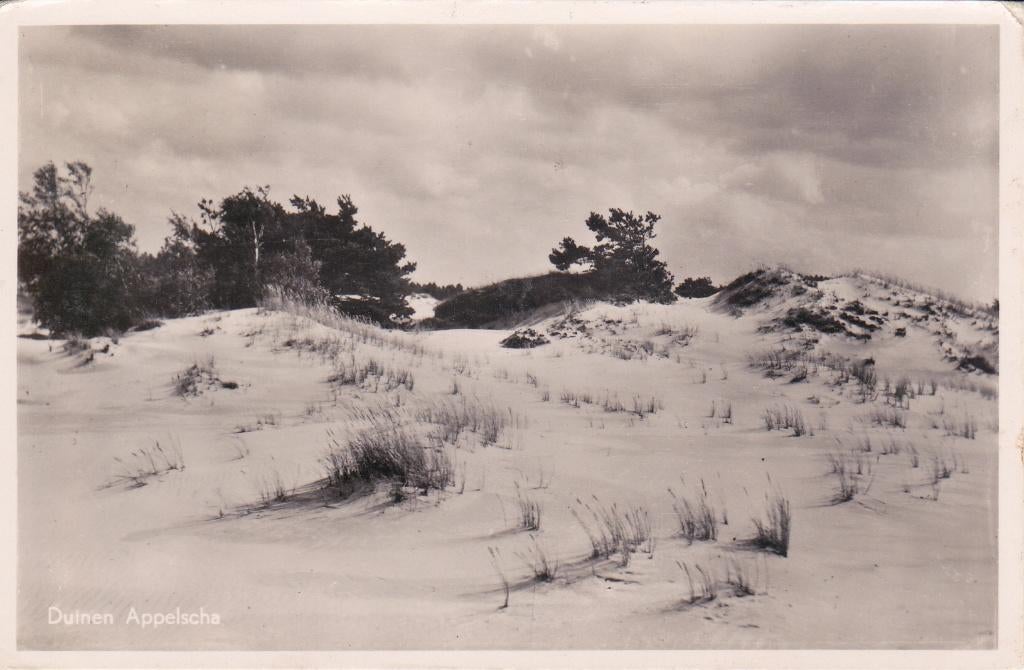 07558 Appelscha - Duinen - gel. 1954, Verzenden, 1940 tot 1960, Gelopen, Friesland
