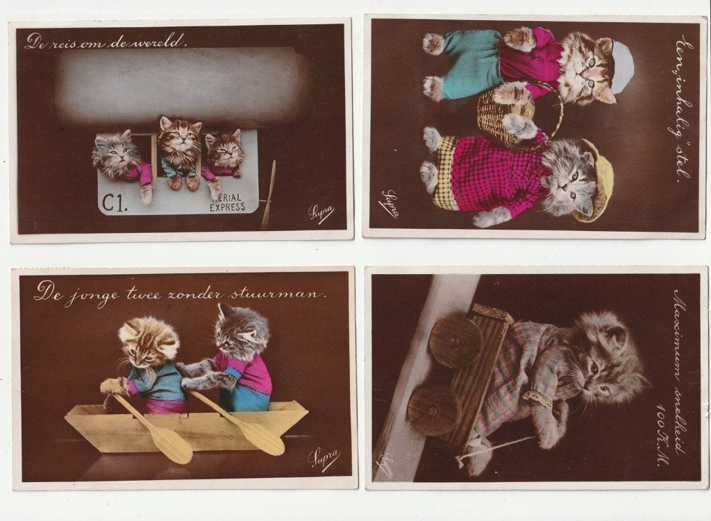 4 kaarten aangeklede katten poezen, Verzamelen, Verzenden, Voor 1920, Gelopen, Hond of Kat