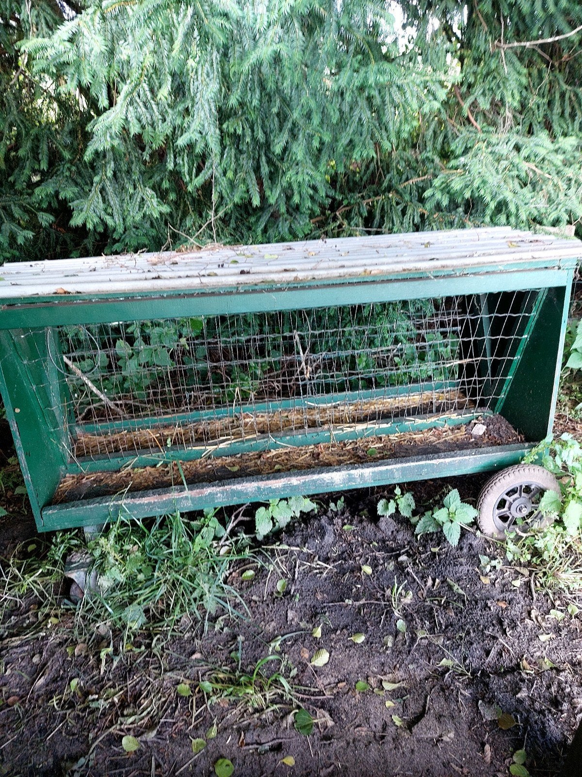Aangeboden:Een nette verplaatsbare schapenhooiruif op wielen, Schaap