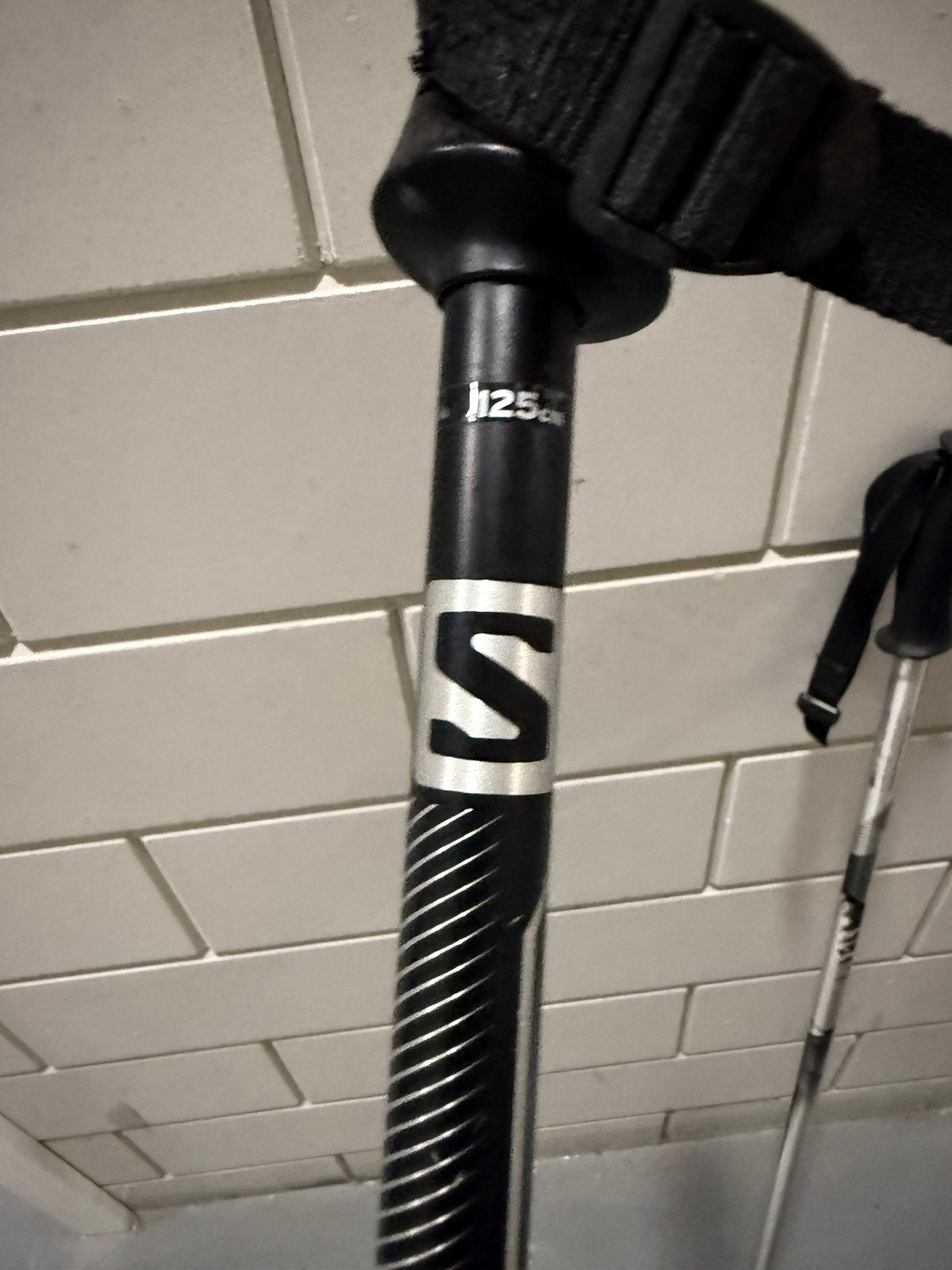 Ski’s, schoen en stokken, Sport en Fitness, Skiën en Langlaufen, 160 tot 180 cm, Gebruikt, Schoenen, Carve
