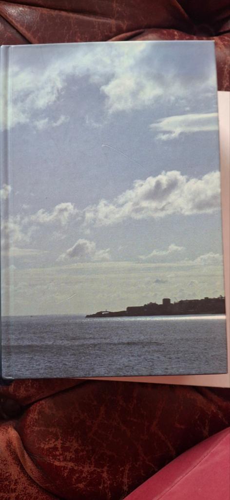 Ulysses joyce, Boeken, Ophalen of Verzenden