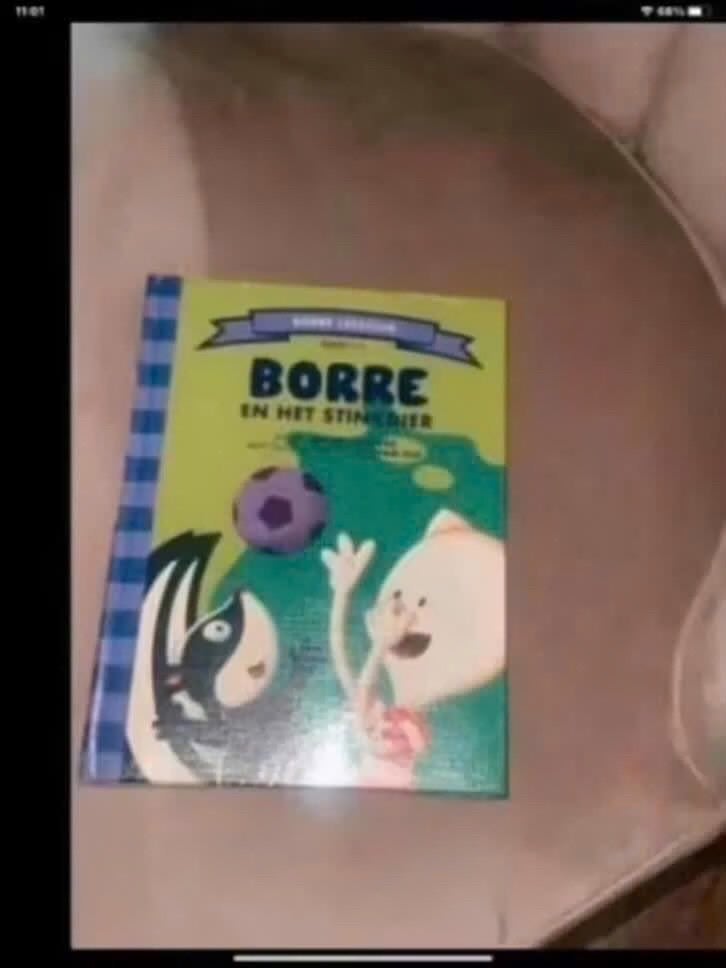 Borre en het stinkdier - Leuk kinderboek, Boeken, Gelezen, Fictie algemeen, Jongen of Meisje, Ophalen of Verzenden