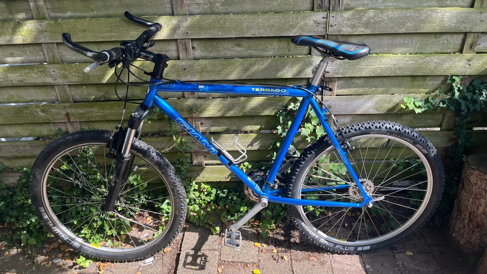Giant Terrago Mountainbike - Blauw, Ophalen, Gebruikt, Hardtail, Giant