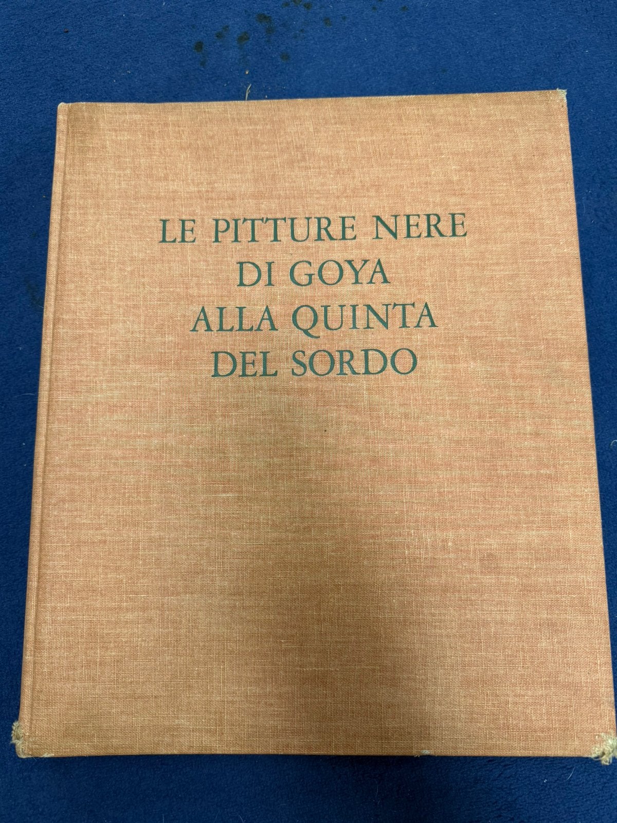 De zwarte Schilderijen van Goya. Prachtig boek, Ophalen of Verzenden, Zo goed als nieuw, Sport