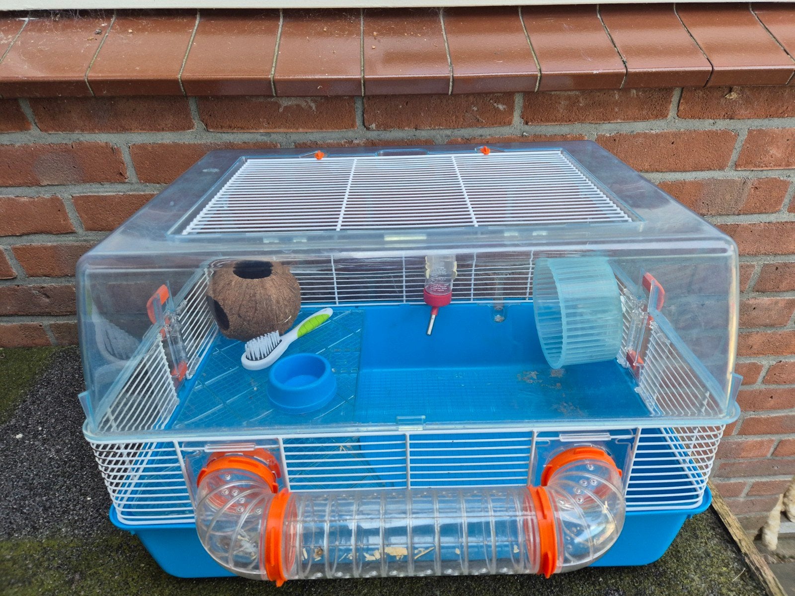 Dwerghamsterkooi, Kooi, Gebruikt, Minder dan 75 cm, Muis