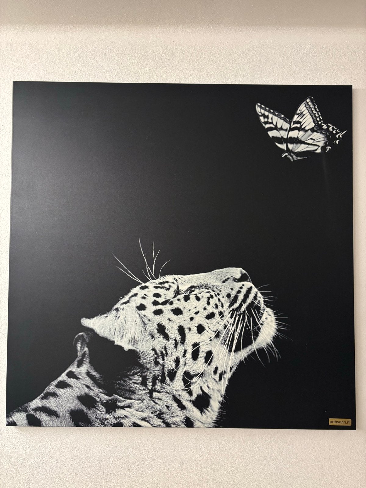 Canvas doek, Ophalen