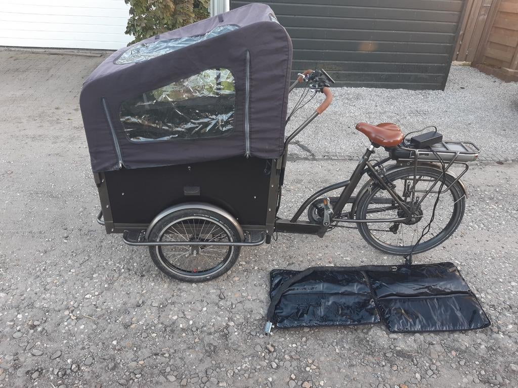 Elektrische bakfiets, Fietsen en Brommers, Fietsen | Bakfietsen, 4 kinderen of meer, Ophalen of Verzenden