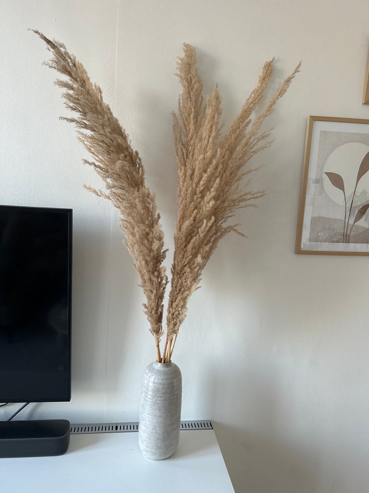 6 pampas pluimen inclusief vaas, Ophalen, Beige, Natuurlijk materiaal, Inclusief decoratie