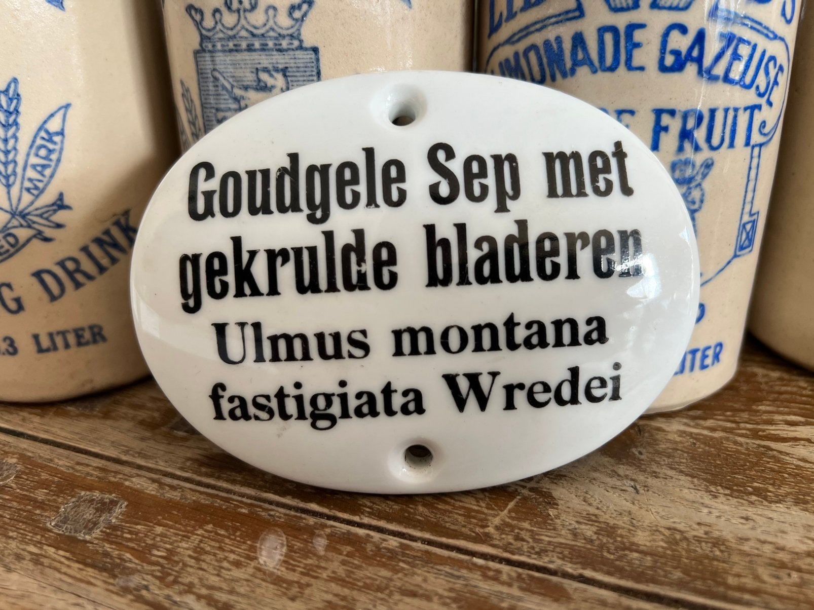 Mooi oud porseleinen plantenbordje, Antiek en Kunst, Curiosa en Brocante, Ophalen of Verzenden