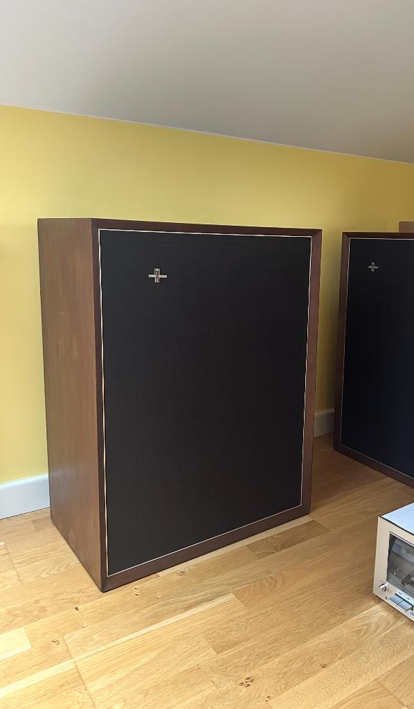 Gezocht Philips RH 499, Audio, Tv en Foto, Luidsprekers, Ophalen, Minder dan 60 watt, Front, Rear of Stereo speakers, Philips