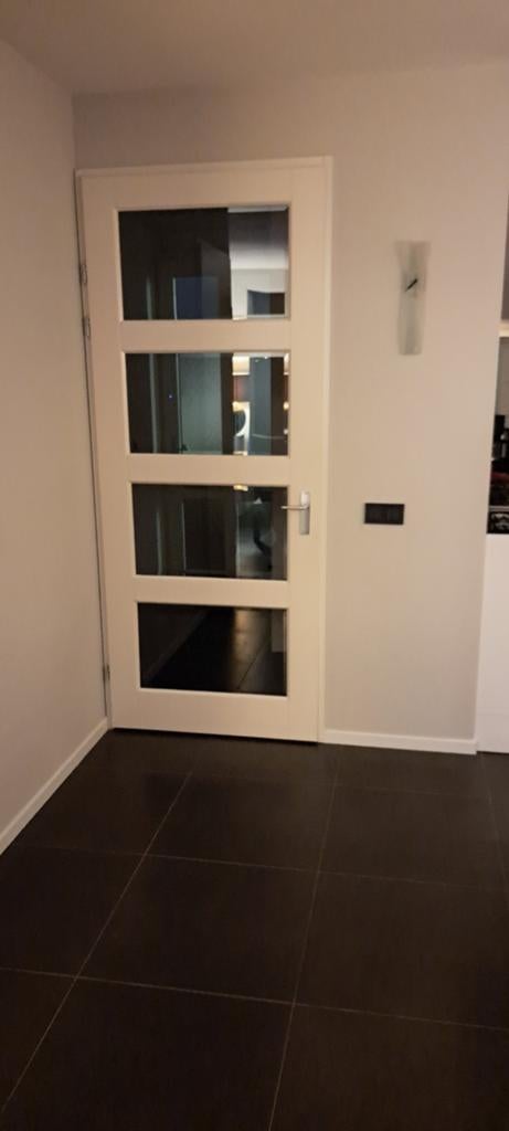 Moderne binnendeur met glaspanelen, Ophalen, Binnendeur, 215 cm of meer