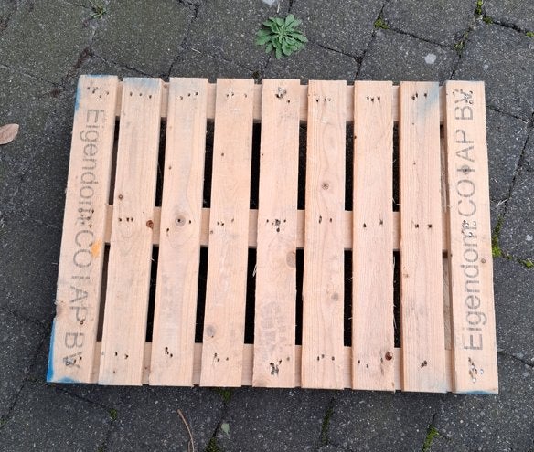 Houten pallet - ideaal voor diverse projecten, Ophalen, Gebruikt, 25 tot 50 mm, Pallet