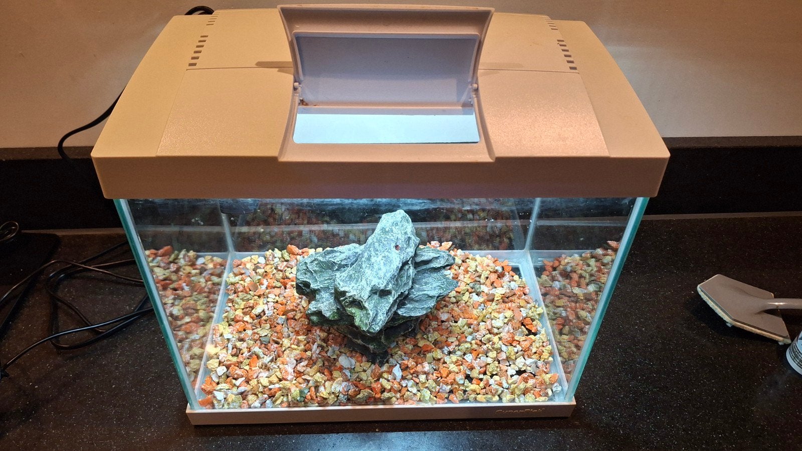Compleet starterspakket goudvis, Ophalen, Inclusief toebehoren, Gebruikt, Leeg aquarium