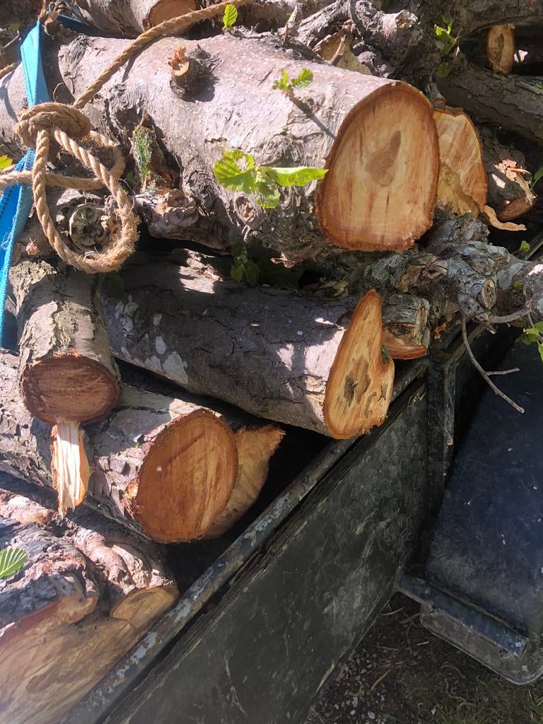 Aanhanger vol elzenhout, Minder dan 3 m³, Ophalen of Verzenden