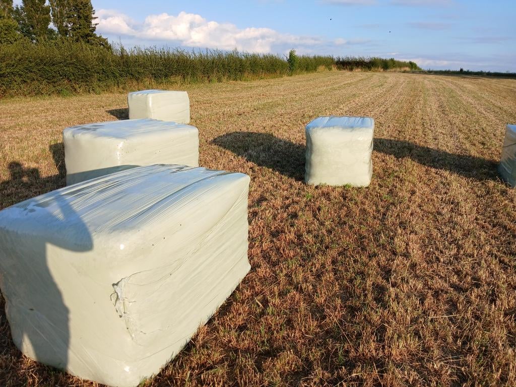 Vierkante balen afmeting 85 cm x 95 cm x 160 cm ongeveer, Dieren en Toebehoren, Dierenvoeding, Ophalen, Vee