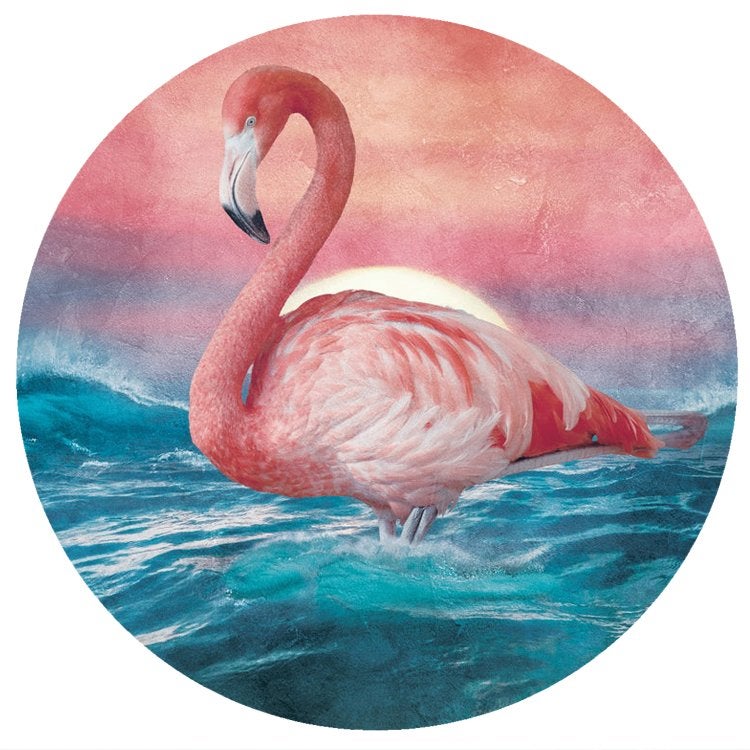 Behangcirkel Flamingo II, Muurcirkel, Sticker *Muurdeco4kids, Verzenden