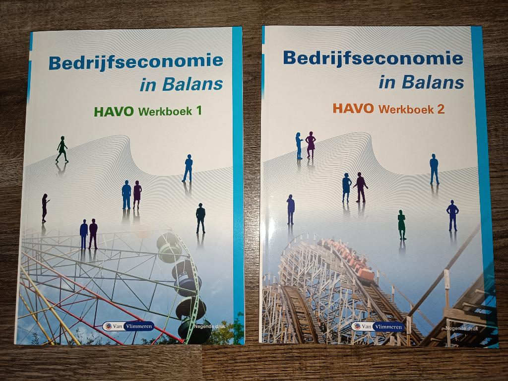 Bedrijfseconomie in balans havo werkboek, Boeken, HAVO, Ophalen of Verzenden, Zo goed als nieuw, Van Vlimmeren