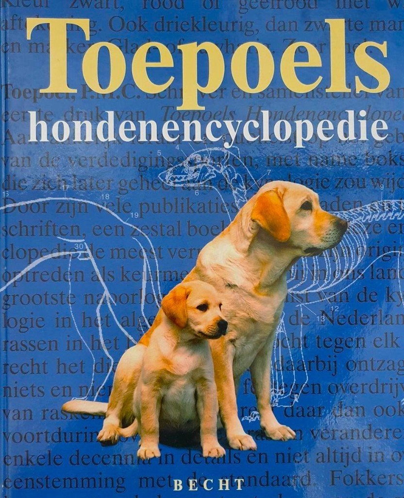 Toepoels Hondenencyclopedie - J. Hiddes / 9789023010326, Boeken, Honden, Ophalen of Verzenden, Zo goed als nieuw, J. Hiddes