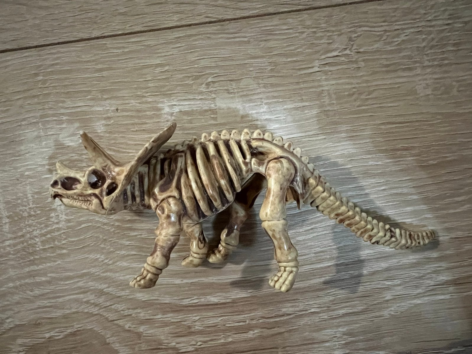 Dino fossielen, 0 tot 2 jaar