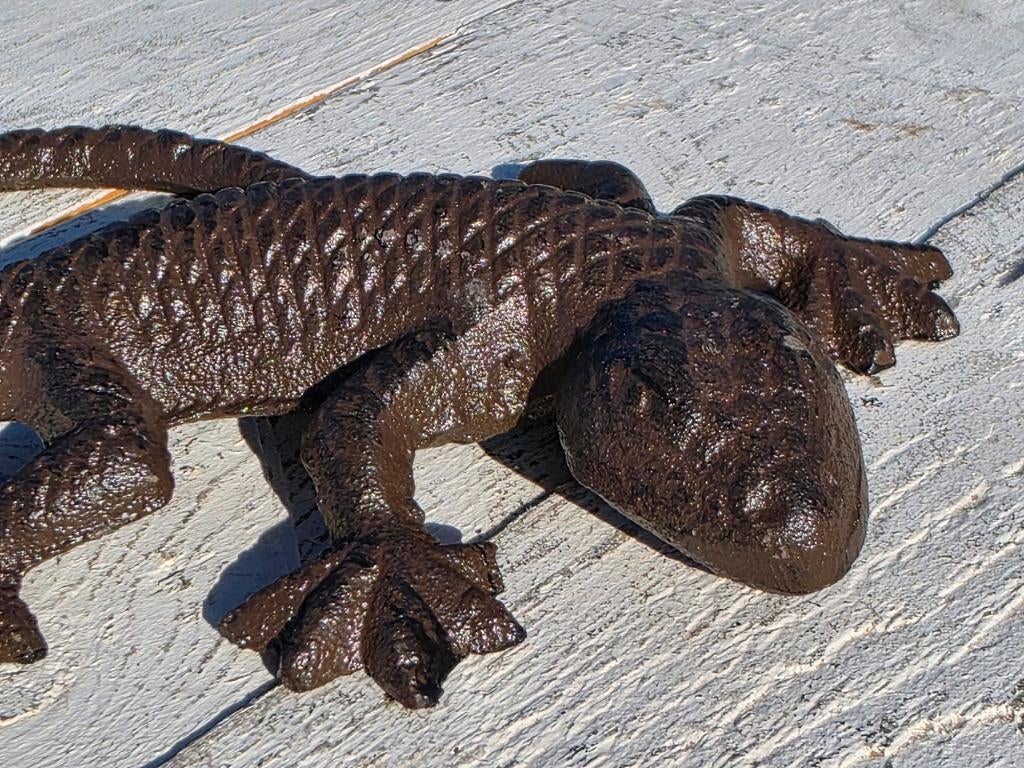 GEKKO / gietijzer, Tuin en Terras, Tuinbeelden, Dierenbeeld, Nieuw, Metaal, Info@huisentuindecoratiemarie.nl