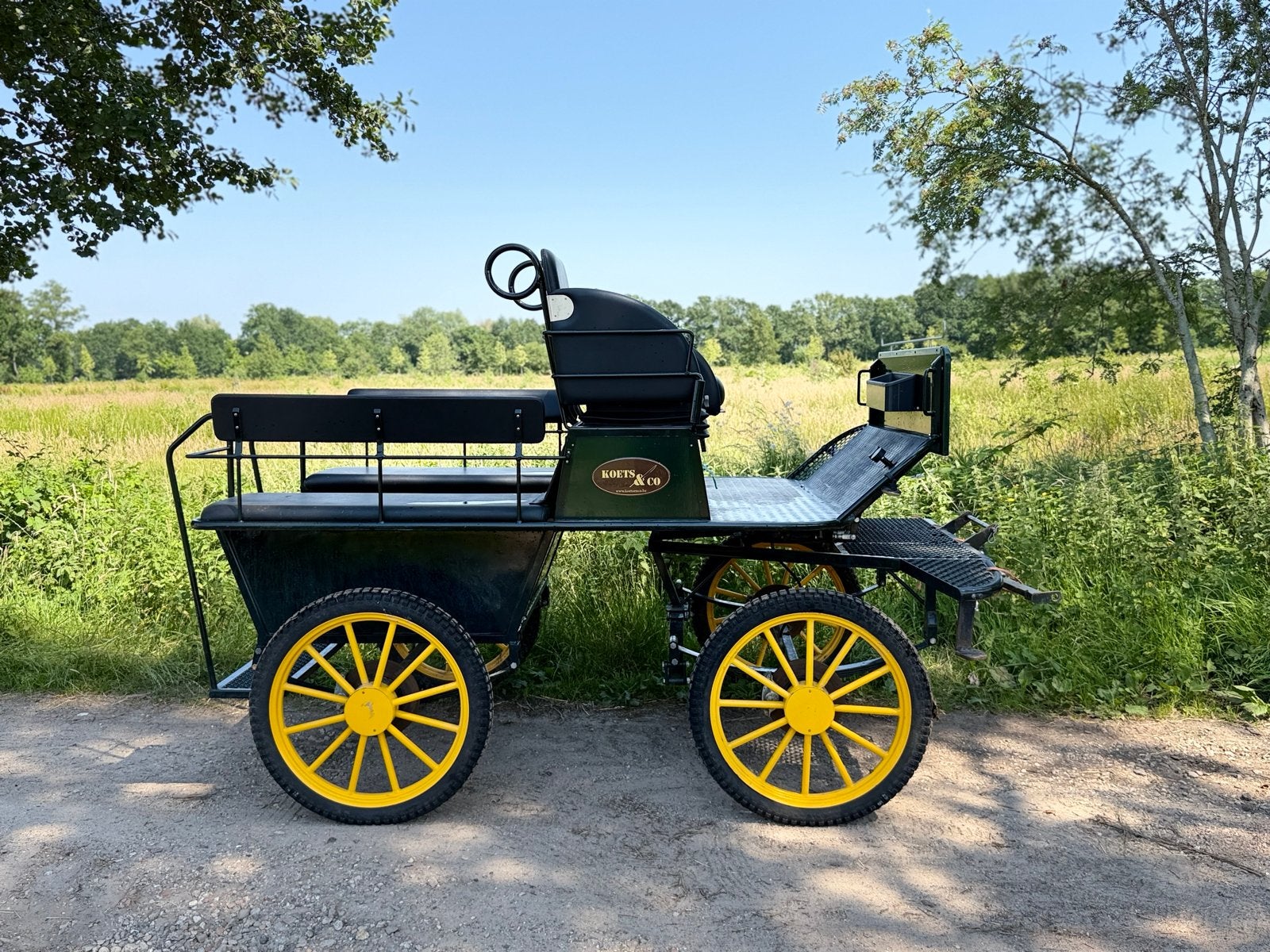 Prachtige doorloopwagen van Koets & Co, Dieren en Toebehoren, Rijtuigen en Koetsen, Marathonwagen