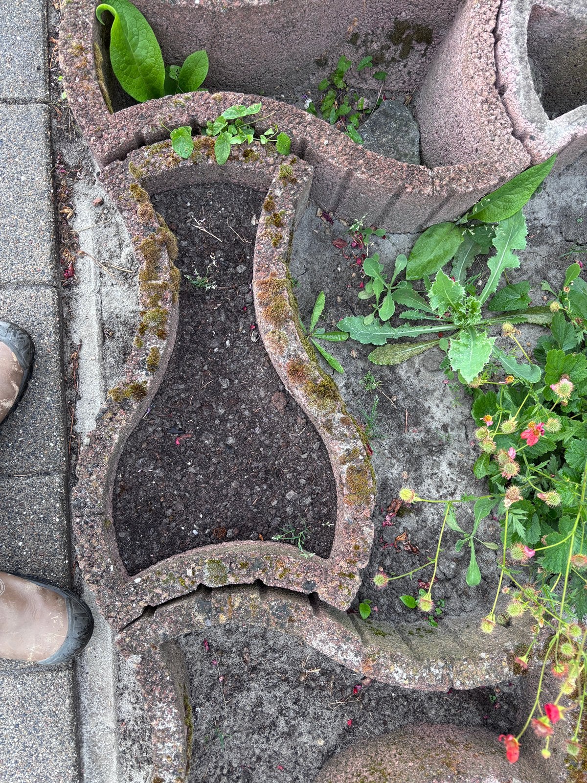 Gratis 13 stenen Border bakken tuin, Ophalen, Steen, Gebruikt, Minder dan 30 cm