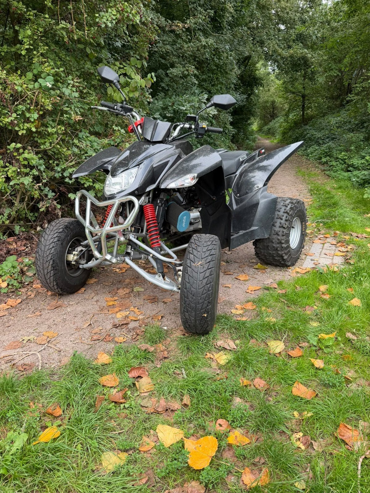Access Quad 300cc - Krachtige en betrouwbare quad, 1 cilinder, 12 t/m 35 kW