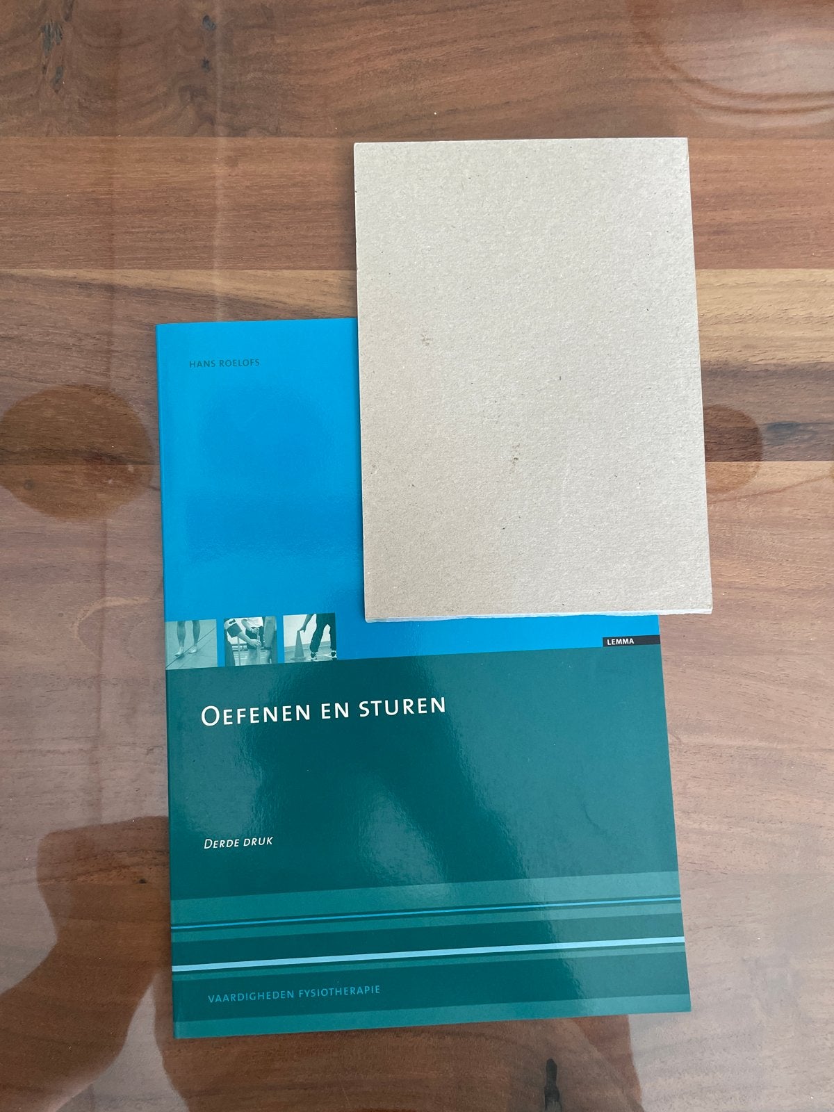 Oefenen en Sturen - Vaardigheden Fysiotherapie, Ophalen of Verzenden, Beta, Zo goed als nieuw, HBO