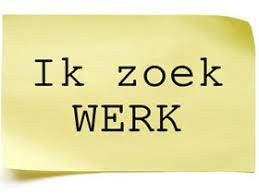 Klusjesman, tuinman, schilder, laminaat legger.., Vacatures, Overige vormen