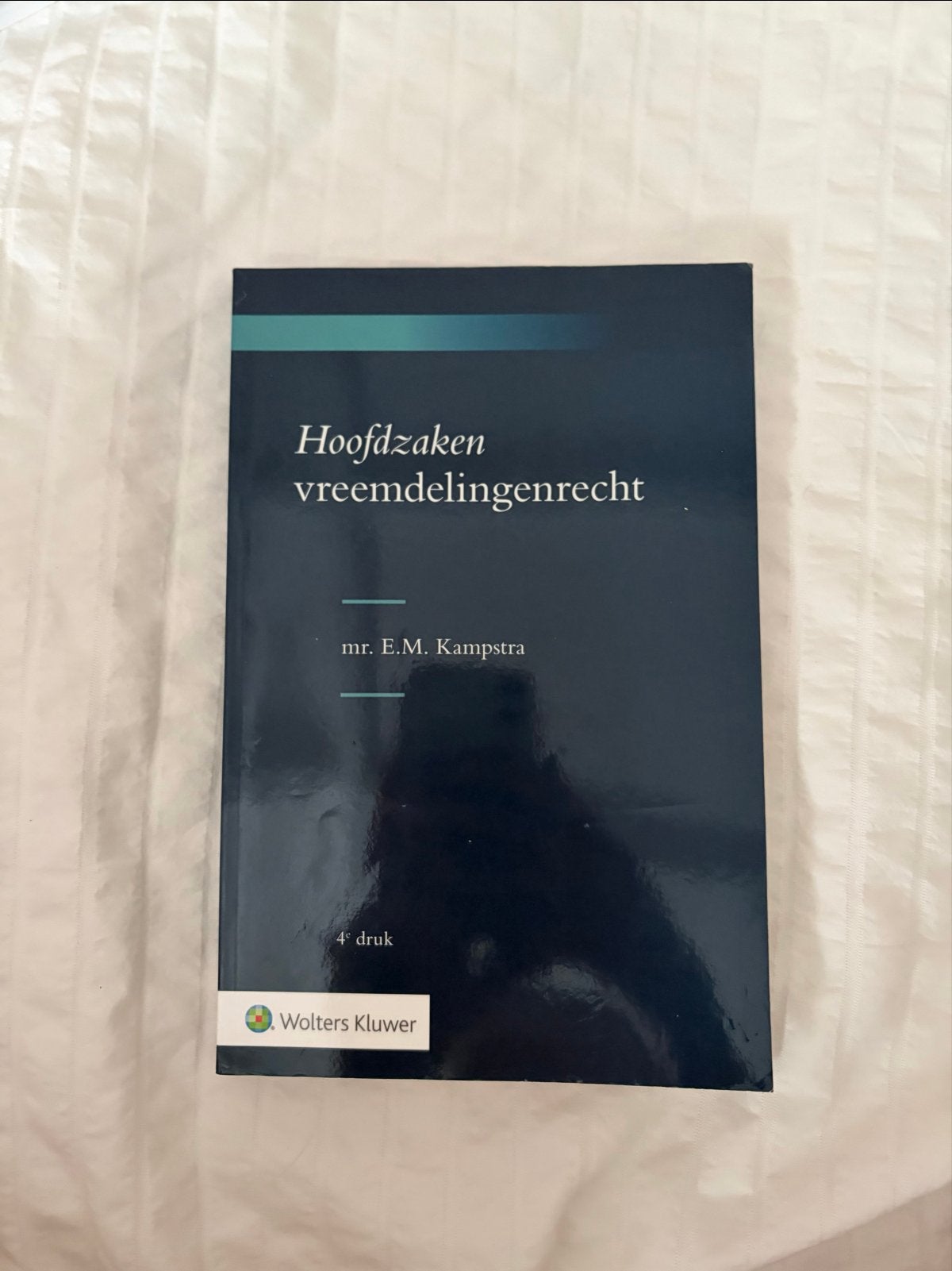 Hoofdzaken vreemdelingenrecht - mr. E.M. Kampstra, Boeken, Ophalen of Verzenden, Gamma, Gelezen, HBO