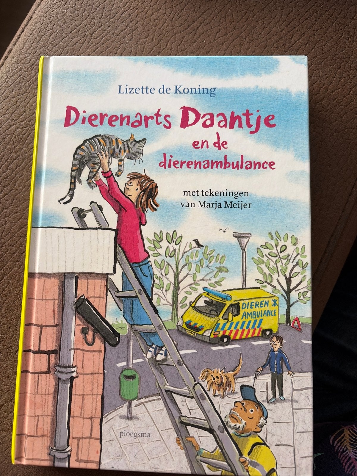 Dierenarts Daantje en de dierenambulance - Lizette de Koning, Boeken, Ophalen of Verzenden, Zo goed als nieuw, Fictie algemeen
