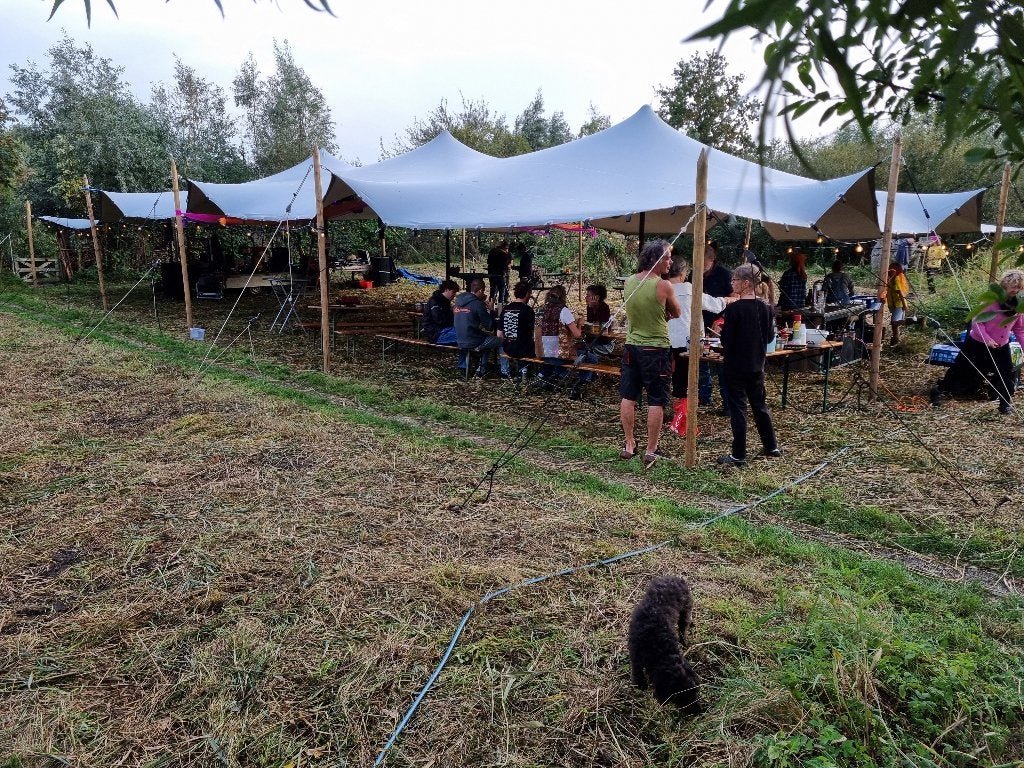 Te koop: Stretchtent 10 x 20 in goede staat, Tuin en Terras, Ophalen, Gebruikt, Opvouwbaar, Overige typen