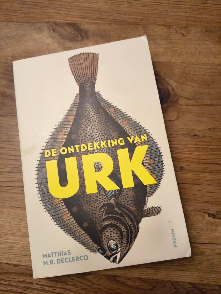 De Ontdekking van Urk: Intrigerend verhaal, Boeken, Ophalen of Verzenden, Nieuw, Matthias M.R. Declercq, Nederland