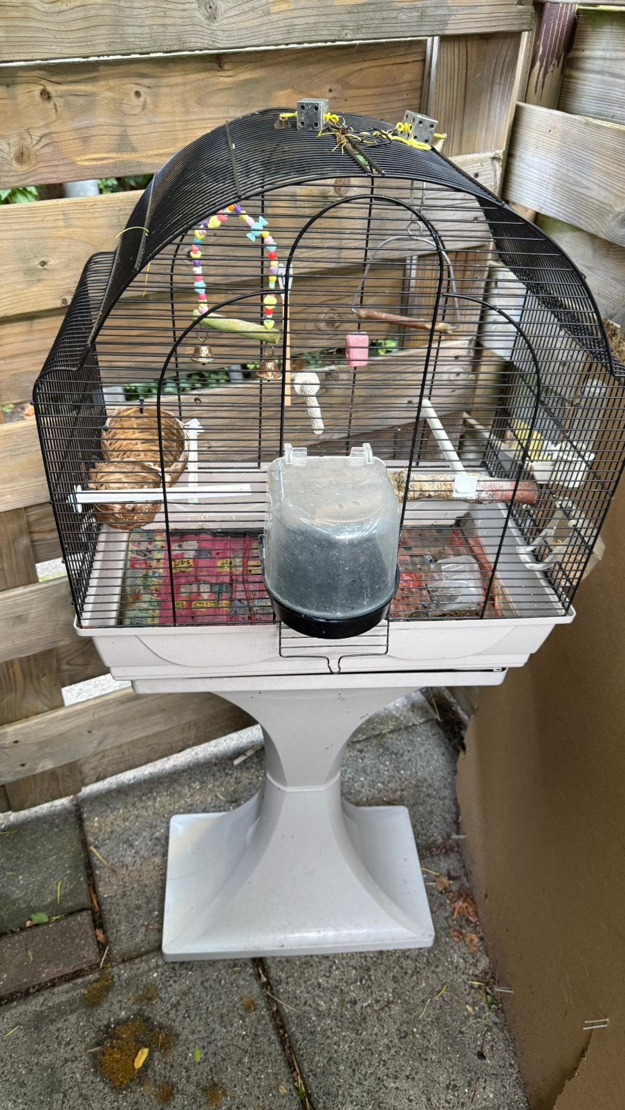 Staat goed, Dieren en Toebehoren, Vogels | Hokken en Kooien, Ophalen, Zo goed als nieuw, Hout, Vogelkooi