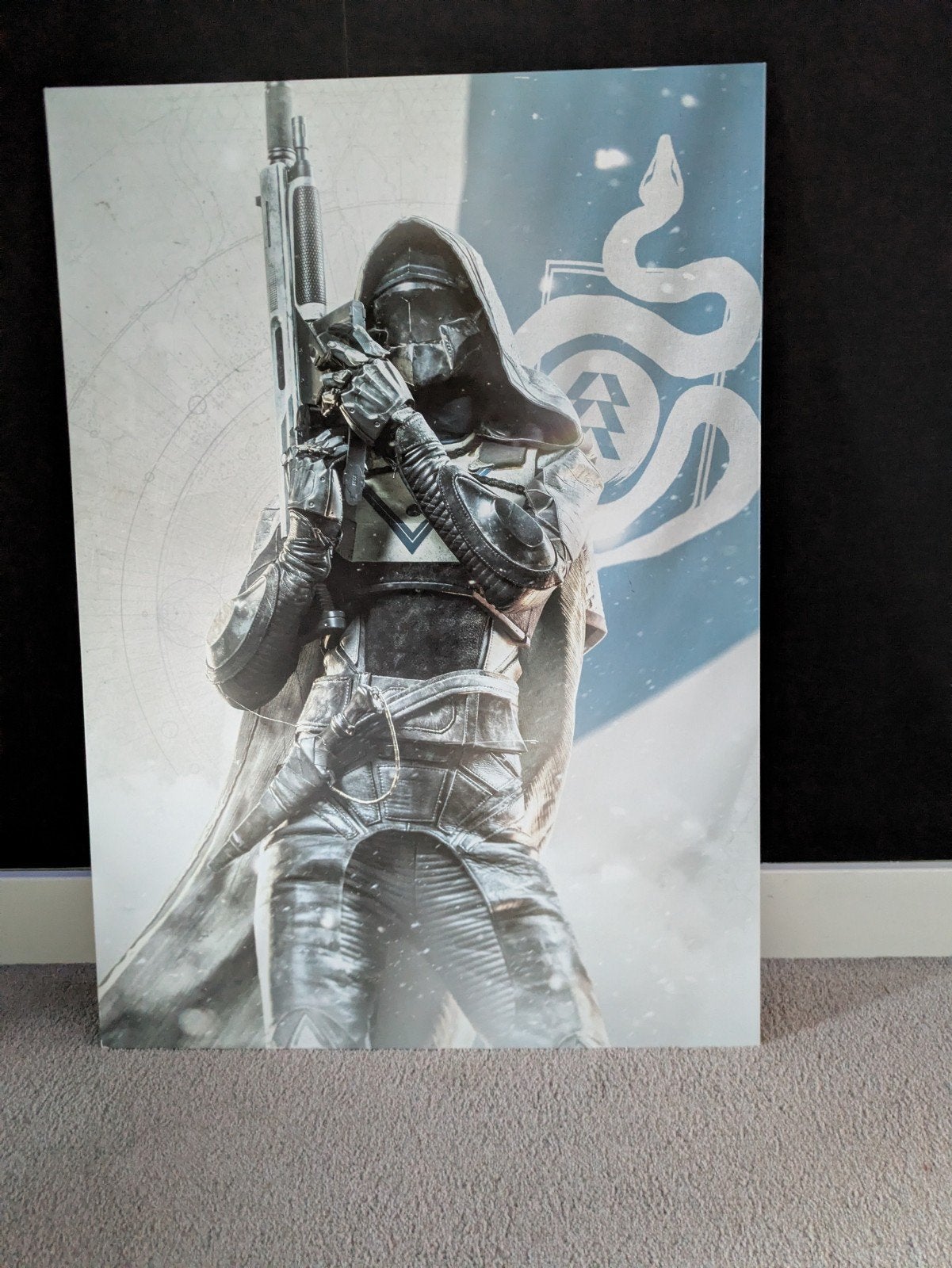 Displate L - Destiny 2 Hunter, Ophalen of Verzenden, Zo goed als nieuw, Minder dan 50 cm, Print