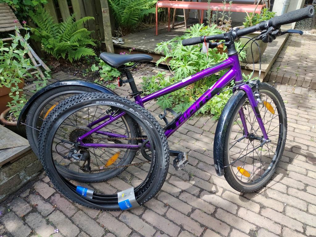 Giant ARX 24 inch mtb / gravel / stadsfiets, Ophalen, Gebruikt, 24 inch