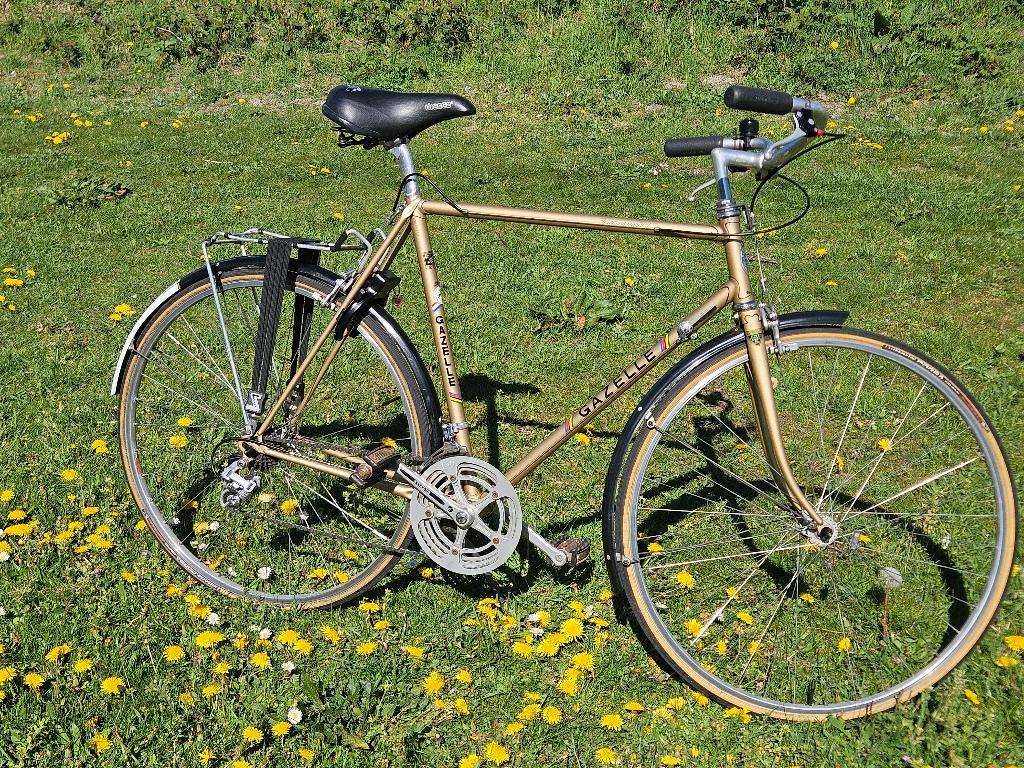 Gazelle Champion Mondial Semi-Race 58cm, Ophalen, 28 inch, Gebruikt, 57 tot 61 cm