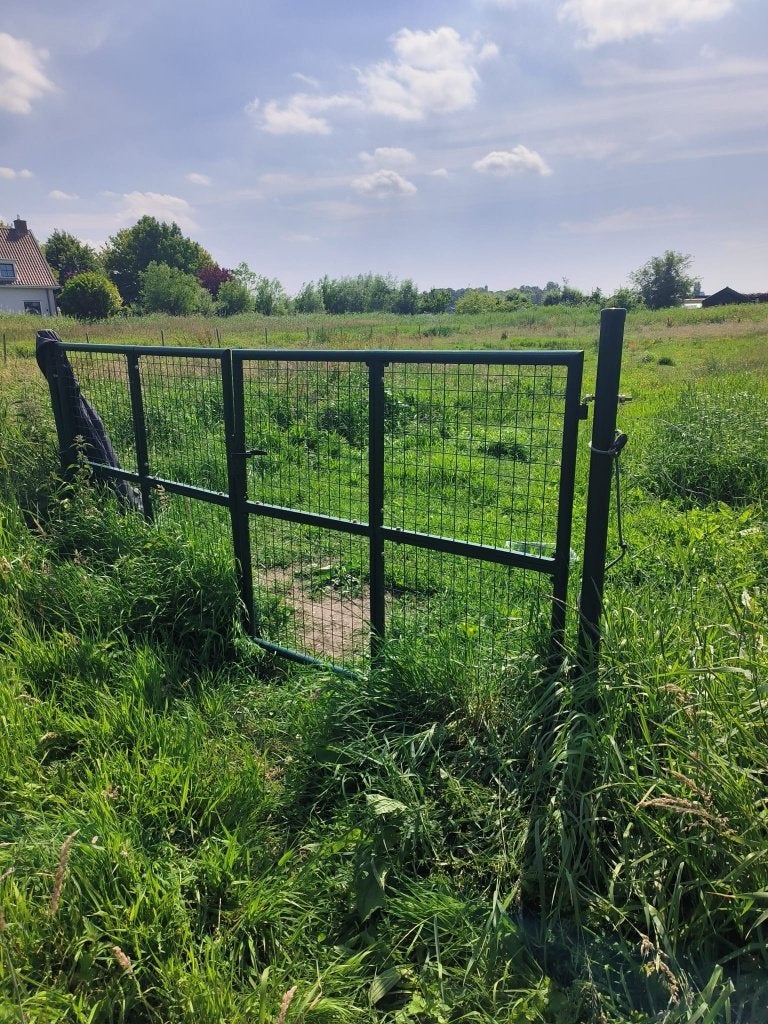 Veelzijdig perceel te huur (Haarlem), Ruin, 0 tot 2 jaar