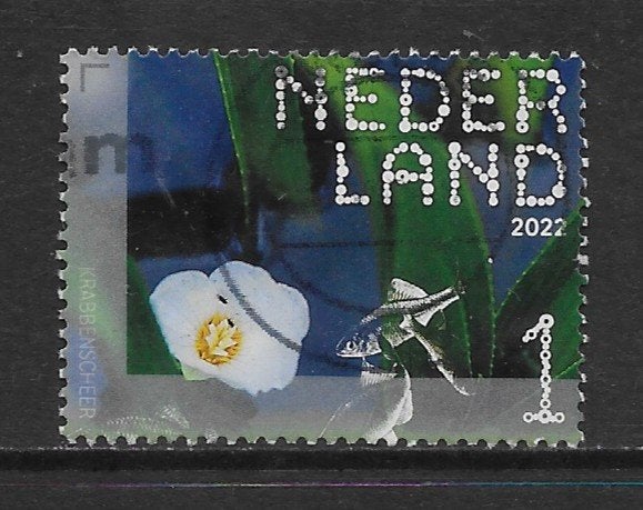 2022, Nieuwkoopse Plassen, Krabbenscheer [4009] (K2511), Ophalen of Verzenden